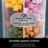 Ninja - Detect Power Blender Pro + Personal Single-Serve, BlendSense Technology, 1800PW, 72 oz. Pitcher, To-Go Cups - Black